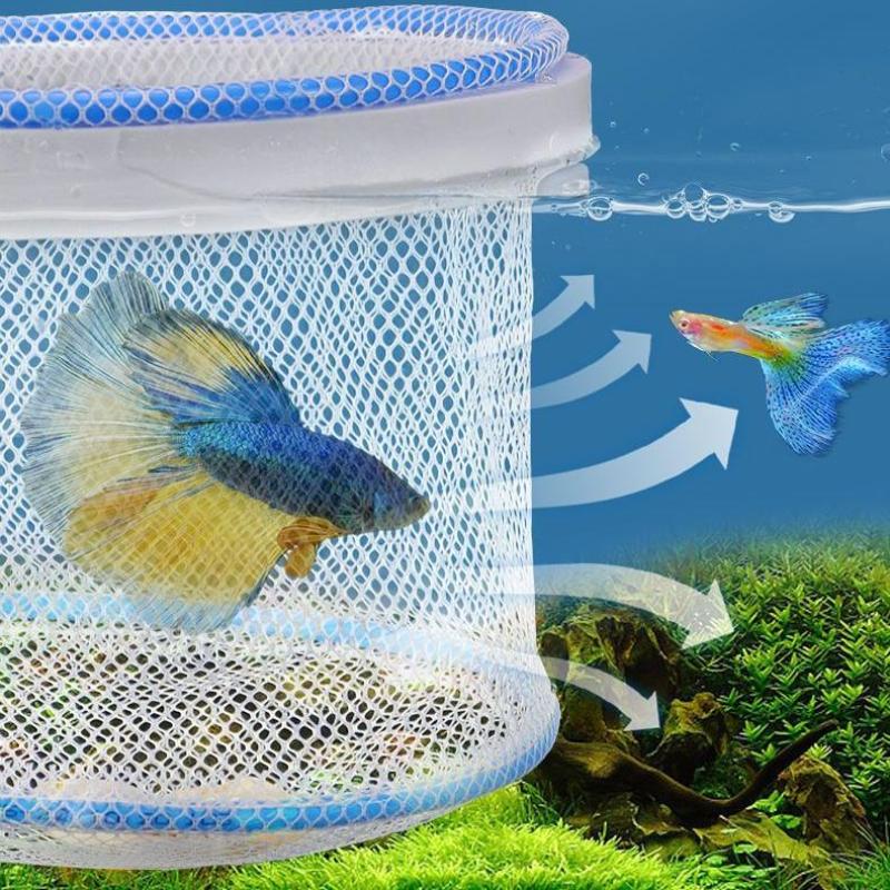 Изоляционная коробка для аквариума, сетка для вылупления рыб, изоляционная сетка для разведения рыб в аквариуме, сетка для вылупления мальков, ящик для разведения рыб, принадлежности для ухода за рыбами