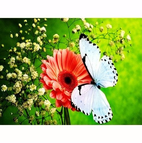 DIY 5D Полная Алмазная Вышивка Цветок Алмазная Мозаика Бабочка Алмазная Картина Животные Стразы Фотографии Дисплей Подарок Домой