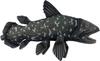 BH7720 HANSA Coelacanth 50