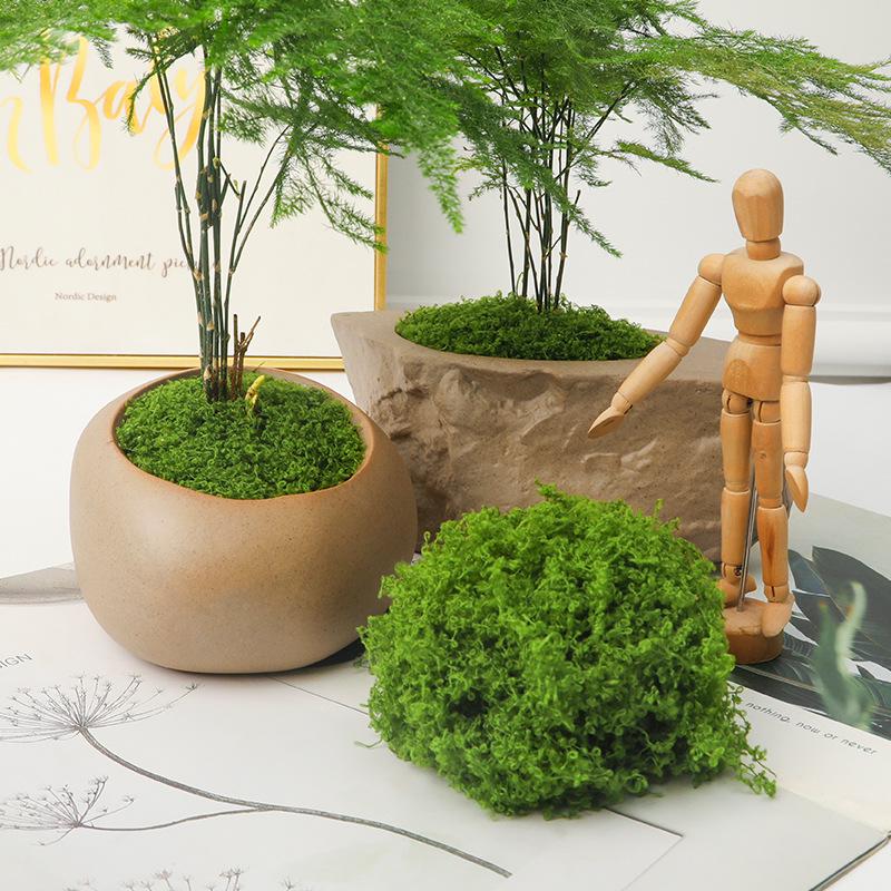 Artificial Moss Green Plants Micro Landscape Rockery Lawn Potted Bonsai Decorative DIY Ornaments