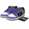 Hayley Wilson X SB Dunk Low Pro Black Court Purple HJ0513-500 Unisex Us