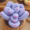 Fashion Hand Knitted Crochet Succulent Bonsai Flowers Potted Gifts  Office Party Decoration