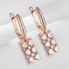 Unique Natural Zircon Long Square Dangle Earrings For Women Luxury  Rose Gold Color Accessories Daily Fine Jewelry
