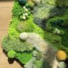 Moss carpet DIY creative hand-woven material package housewarming arrangement wedding gift birthday surprise