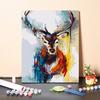 DIY Painting By Numbers Digital Oil Painting Hobbies Numbers Painting Home Decoration Oil Painting Visual Arts Numbers Oil Painting