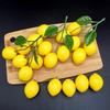 Искусственный лимон Искусственный лимон Фрукты Имитация лимона