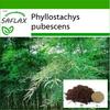 Moso Bamboo - 20 Seeds - With Potting Substrate for Better Cultivation - Phyllostachys Pubescens