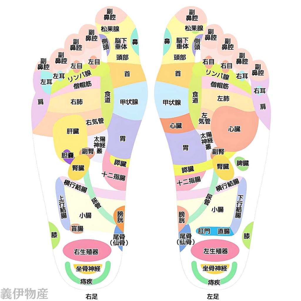 Massage Natural Acupressure Foot Compact Made In Japan Stick, Wood, Stick, Reflexology, Lymphatic, Size,