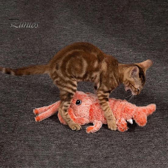 Интерактивная игрушка для собак "Лобстер" с USB-перезаряжаемыми режимами вибрации Игрушка для кошек Электрическая реалистичная виляющая игрушка-лобстер Кошачья мята Добавляется для снятия стресса