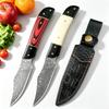 Нож из дамасской стали Ручной кухонный нож Ультраострый нож для разделки мяса Инструмент
