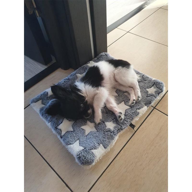 XXL Soft Flannel Pet Blanket Mat For Puppy Dog Cat Sofa Cushion Sleeping Cover