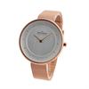 SKAGEN SKW2142 [продукт]