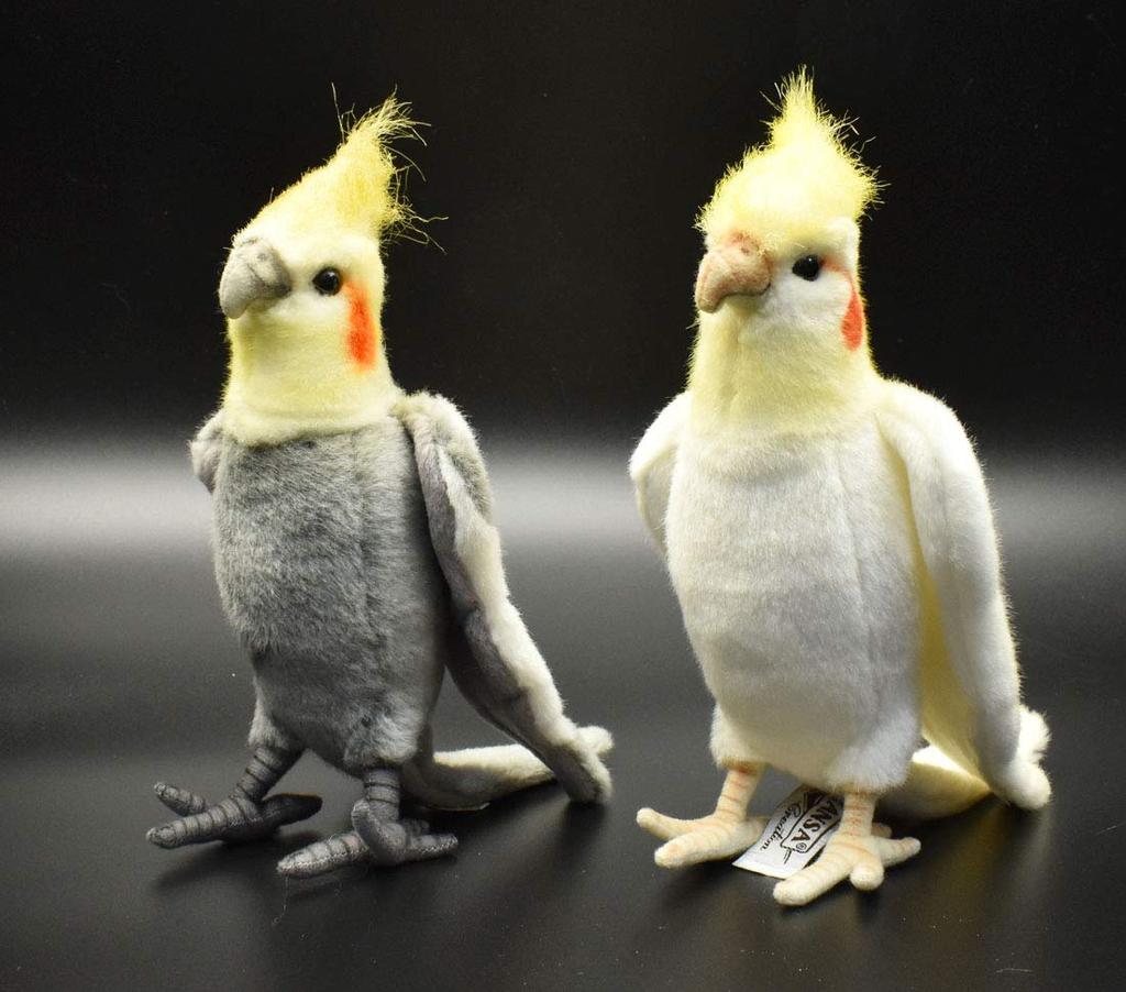 BH6457 HANSA Корелла 21