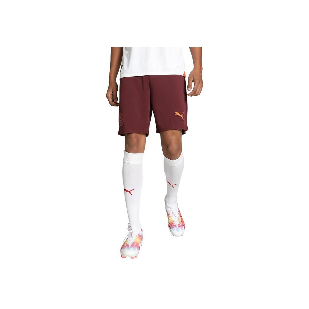 Puma Футбольные брюки мужские 23/24 сезона Manchester City Player Edition с однотонным логотипом, эластичные, темно-красные 770478-05