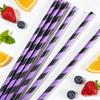 Individually Wrapped Biodegradable Striped Paper Straws