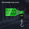 Digital Scale for Fishing Luggage Travel Weighting Steelyard Hanging Electronic Hook Scale Kitchen Weight Tool