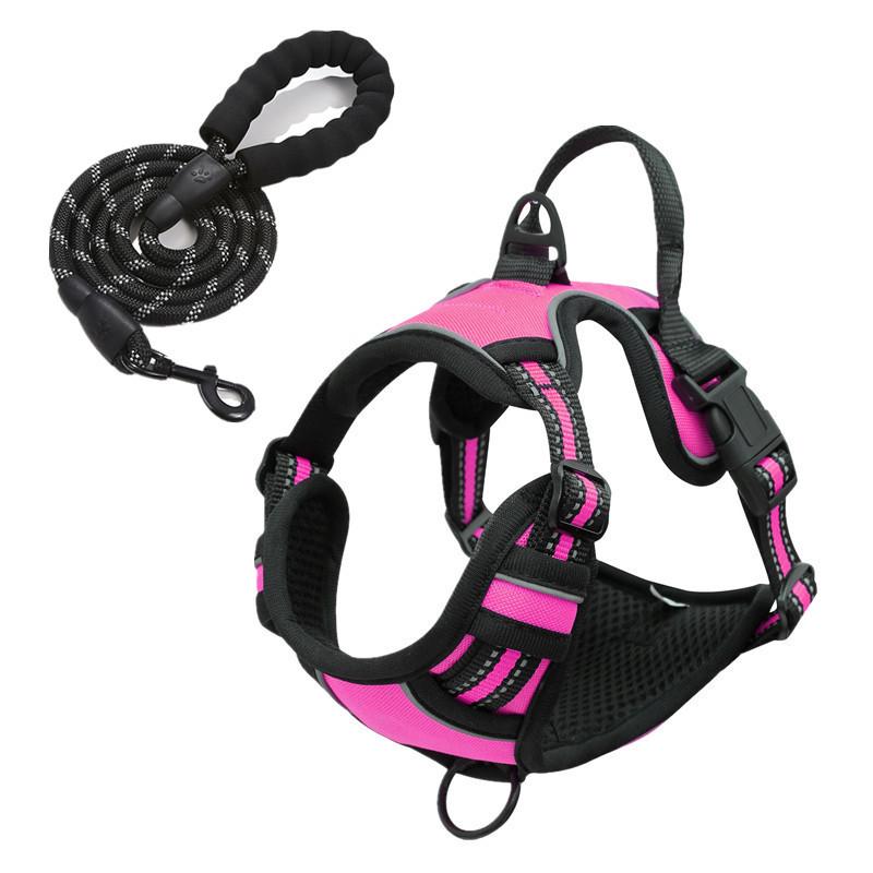 Светоотражающая двухслойная шлейка для собаки и комплект поводка с ошейником на пряжке