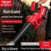 DELIXI ELECTRIC Cordless Power Blower CN plug (adapter included)