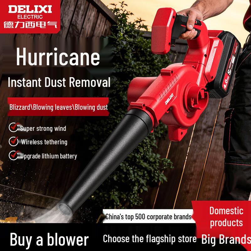 DELIXI ELECTRIC Cordless Power Blower CN plug (adapter included)