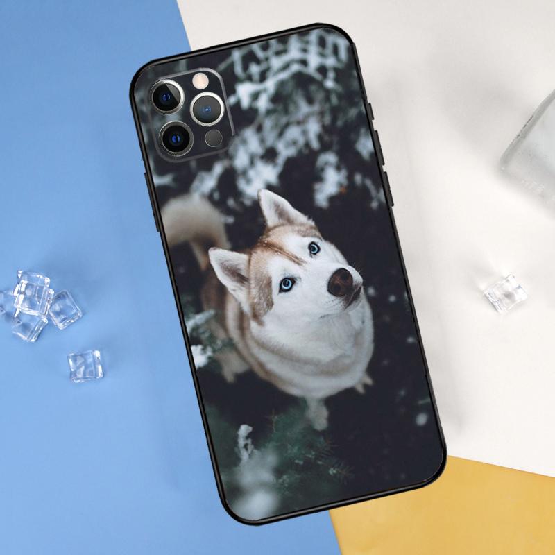 Siberian Husky Sled Dog Phone Case For iPhone 16 Pro Max 12 13 Mini 11 14 15 Pro Max XR 16 15 Plus 16e Cover Shell