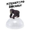 TAKARA TOMY """Аня AC-03 Горилла""" (ребенок)"""Животное Динозавр Реалистичная Движущаяся Фигурка Игрушка для Возраста 3+ Лет, Соответствует Стандартам Безопасности Игрушек, Знак ST, ANIA"""