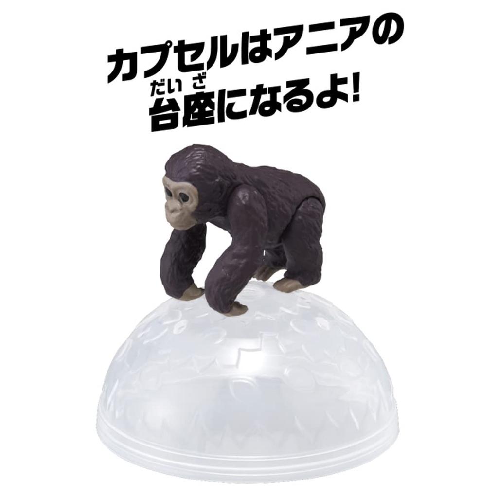 TAKARA TOMY """Аня AC-03 Горилла""" (ребенок)"""Животное Динозавр Реалистичная Движущаяся Фигурка Игрушка для Возраста 3+ Лет, Соответствует Стандартам Безопасности Игрушек, Знак ST, ANIA"""