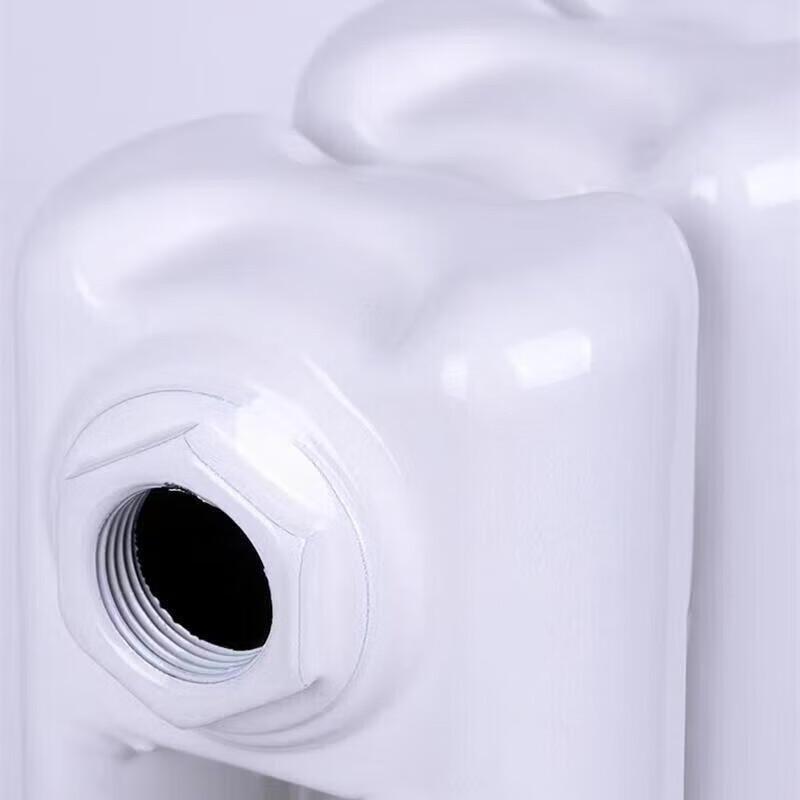 Chuanqin 15-Column Steel Radiator