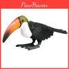 Animal Wild Simulated Big Billed Bird Ramphastos Toco Model Ornament Toys