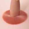 Fizz Foundation Brush with Mirror Case Loose Powder Foundation Blush Brush Soft Bristle Full Set Shadow Lip Makeup Light Pink, 1pc