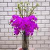 1Pc Artificial Flower Butterfly Orchid Garden DIY Party Props