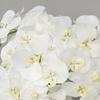 Artificial Orchid Flowers Long Stemmed Realistic Phalaenopsis Orchids No Maintenance Velvet Petals Fake Flower Home Decor
