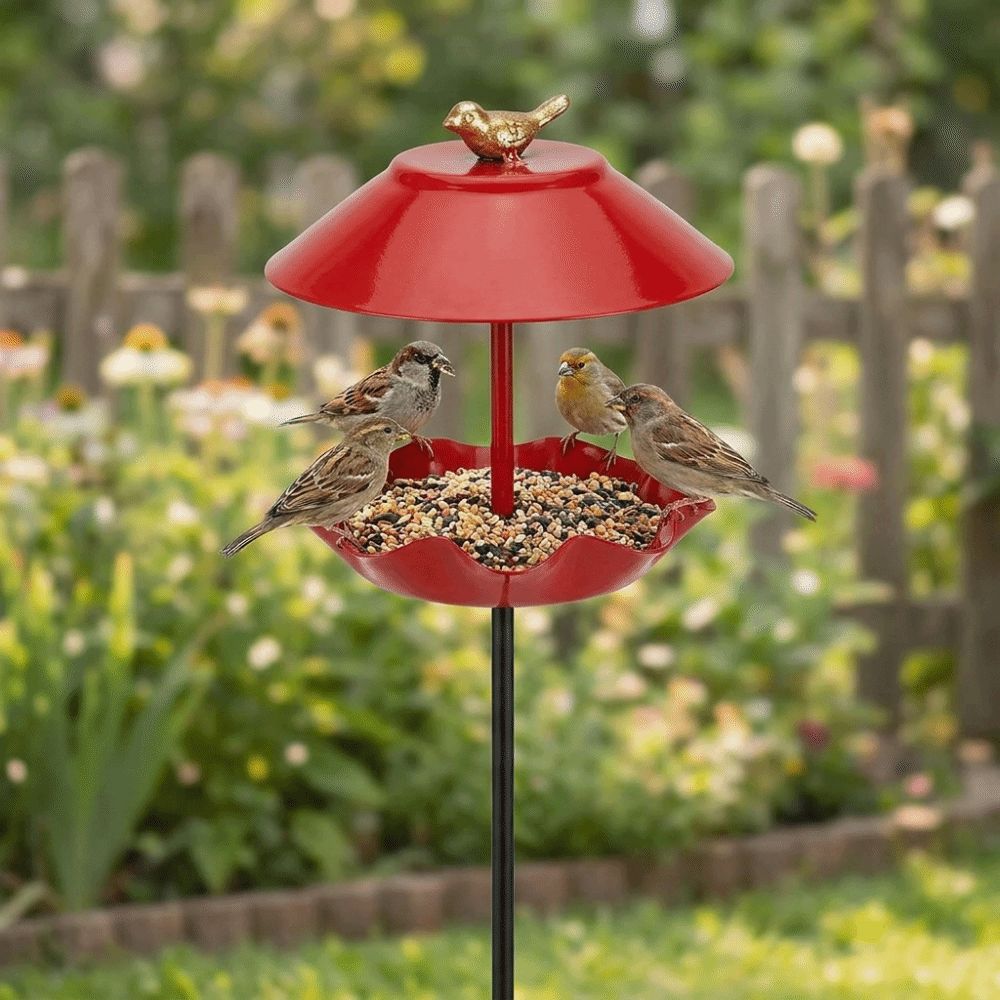 Rust-resistant Bird Water Drinker Large Capacity Hummingbird Feeder Outdoor Decor