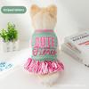 Autumn and Winter Dog Clothes Princess Xiaoxiangfeng Teddy Pet Skirt Autumn and Winter Dog Clothes Clothing