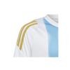 Is6470-c Adidas Messi Tr Jsy Y