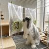 Leak-Proof Rabbit Hay Bag Large Capacity Pet Feeding Bag Hay Pouch Hanging Hay Feeder  Indoor