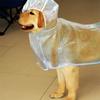 Outdoor Transparent Waterproof PVC Dog Rain Coat Pet Rain Suit Puppy Jacket