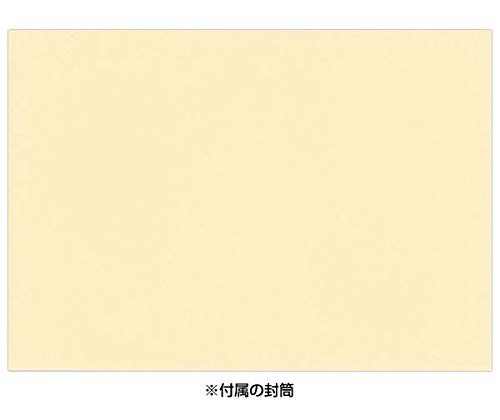 Sanrio Message Card Entrance Graduation Watercolor Cherry Blossom Appreciation Greeting Card Can Be Shipped Overseas SANRIO 869252 JSG18-3