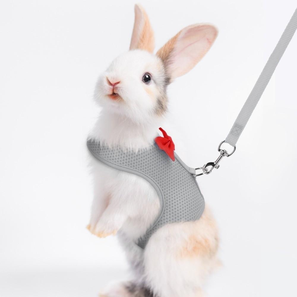 Polyester Rabbit Harness Vest Breathable Pet Walking Leash New Bunny Harness Leash Small Pets Use