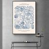 Vintage Blue Coastal Decor Posters, Conch Seashell Wall Arts Prints, Summer Ocean Themed Prints Blue Conch Posters Unframe