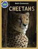 Книга Cheetah Activity Workbook Ages 4-8