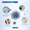 Освежающий гель для душа Safeguard с грейпфрутом