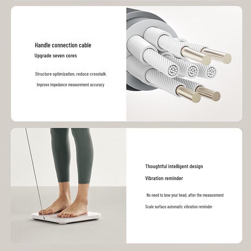 Xiaomi Smart Body Fat Scale (CN version)