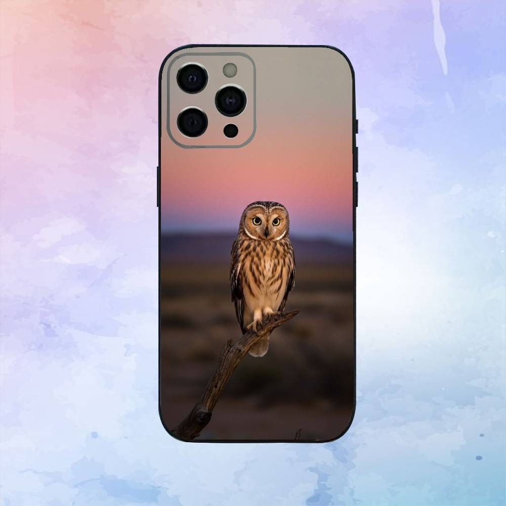 Милый Чехол для Телефона с Совой Для iPhone17,16,15,14,13,12,11 Plus,Pro Max Мягкий Черный Чехол