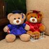 Graduation Plush Teddy Bear In Doctoral Gown with Custom Logo