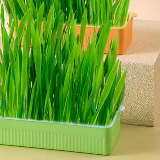 Кашпо для кошачьей травы со съемным дном, двухслойное контрастное цветное нескользящее основание, пластиковая подставка для кошачьих ростков, горшок для выращивания растений, садовые принадлежности