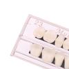 56Pcs/2Box Dental Material Resin Teeth Teaching Model Dedicated Teeth Dental Material Teeth Care Tool Dental Oral Material