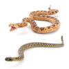 Модель песчаного питона ПВХ Декор сцены рептилий Для любителей природы и коллекционеров