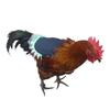 Cloth Poultry Apron Soft Chicken Feather Protector Practical Hen Back Jacket  For Chicken Birds