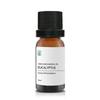 Radiata 10ml