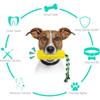 Yellow Dog Chew Toys Rubber Dental Chew Pet Toys New Corn Squeaky Dog Toys